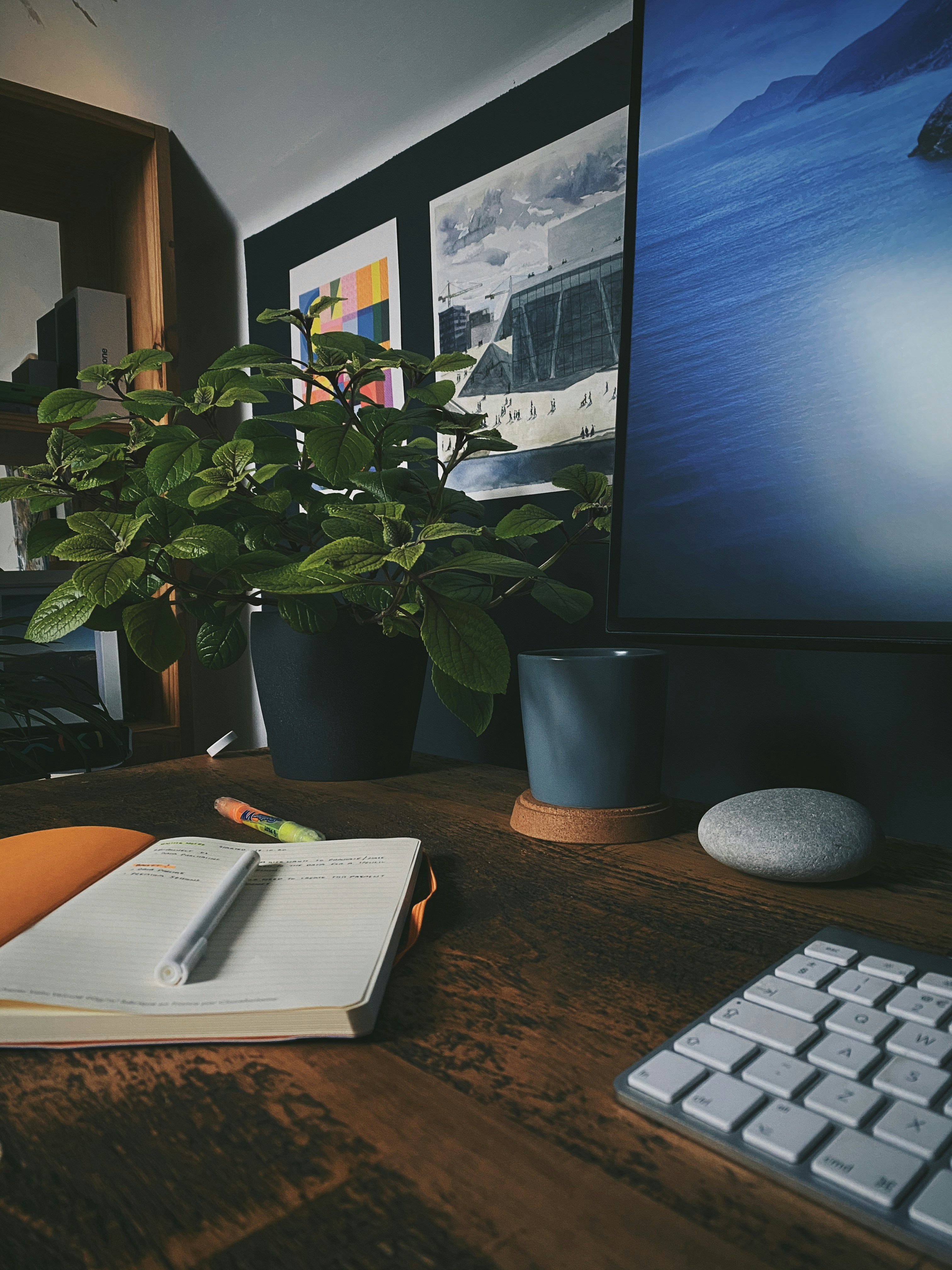 L'équipe Vitrinea au travail sur la conception d'un site